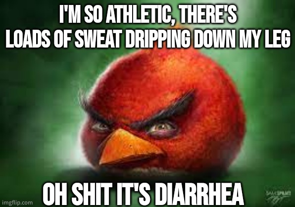 get me to 200k RAAAHHH | I'M SO ATHLETIC, THERE'S LOADS OF SWEAT DRIPPING DOWN MY LEG; OH SHIT IT'S DIARRHEA | image tagged in realistic red angry birds | made w/ Imgflip meme maker