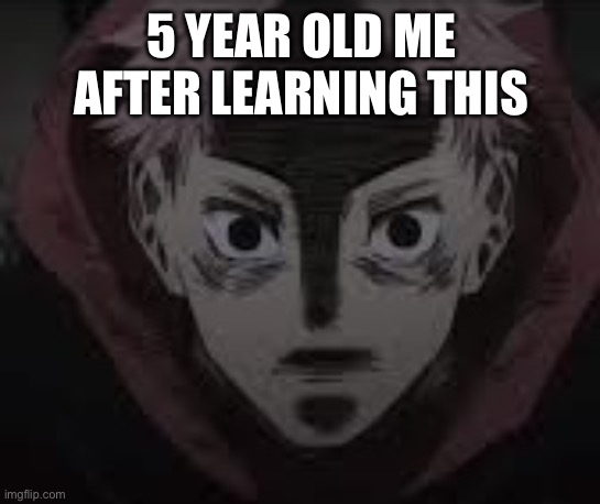 Yuji | 5 YEAR OLD ME AFTER LEARNING THIS | image tagged in yuji | made w/ Imgflip meme maker