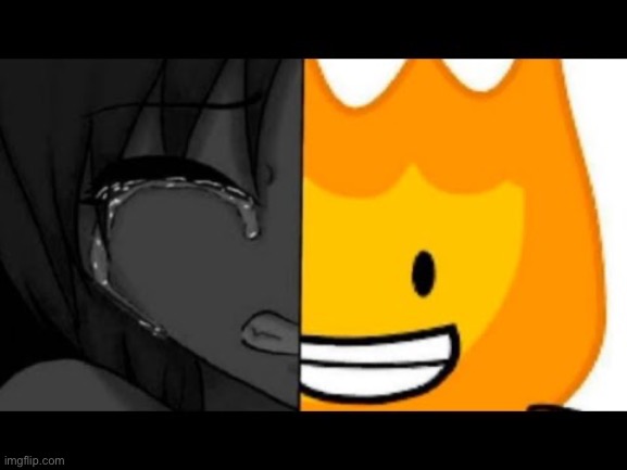 image tagged in im fine,bfdi | made w/ Imgflip meme maker