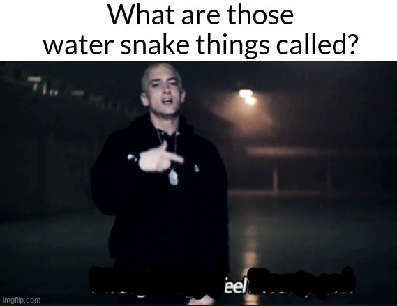 Rap god eminem | What are those water snake things called? | image tagged in rap god eminem | made w/ Imgflip meme maker