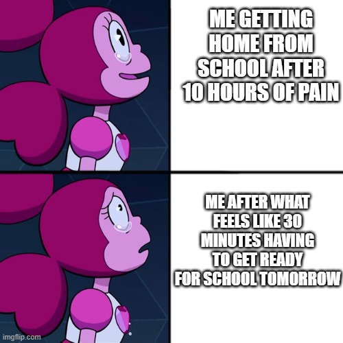 spinel | ME GETTING HOME FROM SCHOOL AFTER 10 HOURS OF PAIN; ME AFTER WHAT FEELS LIKE 30 MINUTES HAVING TO GET READY FOR SCHOOL TOMORROW | image tagged in spinel | made w/ Imgflip meme maker