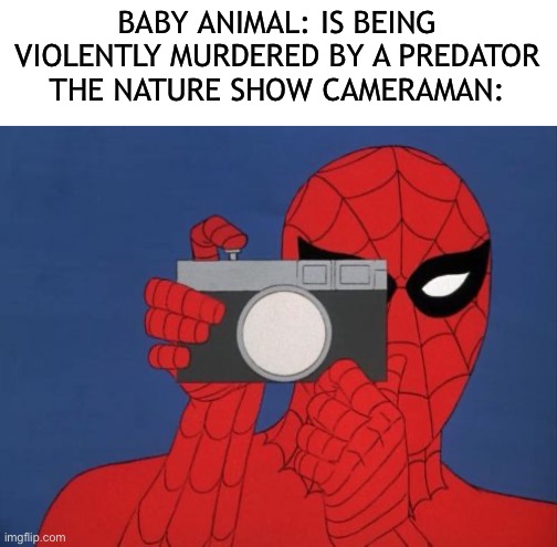 Every time. | BABY ANIMAL: IS BEING VIOLENTLY MURDERED BY A PREDATOR
THE NATURE SHOW CAMERAMAN: | image tagged in memes,spiderman camera,spiderman,nature | made w/ Imgflip meme maker