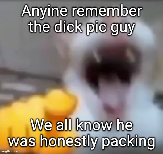Cat pointing and laughing | Anyine remember the dick pic guy; We all know he was honestly packing | image tagged in cat pointing and laughing | made w/ Imgflip meme maker