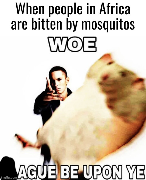 (Ague is a term for malaria) | When people in Africa are bitten by mosquitos | image tagged in woe plague be upon ye | made w/ Imgflip meme maker