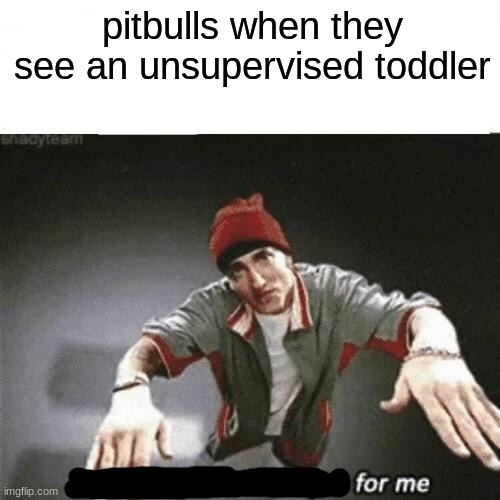 Now this looks like a job for me | pitbulls when they see an unsupervised toddler | image tagged in now this looks like a job for me | made w/ Imgflip meme maker