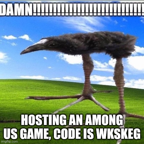 DAMN!!!!!!!!!!!!!!!!!!!!!!!!!!!! | HOSTING AN AMONG US GAME, CODE IS WKSKEG | image tagged in damn | made w/ Imgflip meme maker