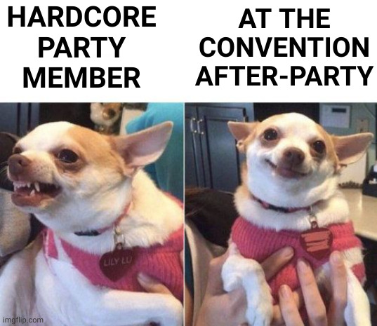 Cerberus and tipsy Cerberus | HARDCORE PARTY MEMBER; AT THE CONVENTION AFTER-PARTY | image tagged in angry chihuahua happy chihuahua,memes,partisan,political party,cerberus,party convention | made w/ Imgflip meme maker