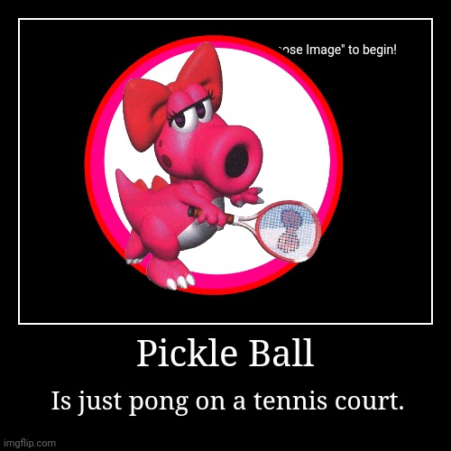 Pickle ball | Pickle Ball | Is just pong on a tennis court. | image tagged in funny,demotivationals,pickle ball,pong | made w/ Imgflip demotivational maker