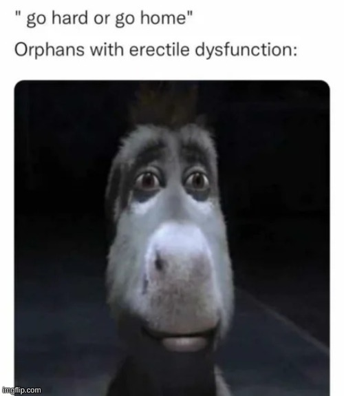 ;( | image tagged in orphan,donkey from shrek | made w/ Imgflip meme maker