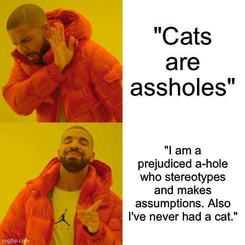 Drake Hotline Bling Meme | "Cats are assholes" "I am a prejudiced a-hole who stereotypes and makes assumptions. Also I've never had a cat." | image tagged in memes,drake hotline bling | made w/ Imgflip meme maker