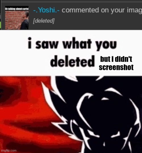 i saw what you deleted | but i didn't screenshot | image tagged in i saw what you deleted | made w/ Imgflip meme maker
