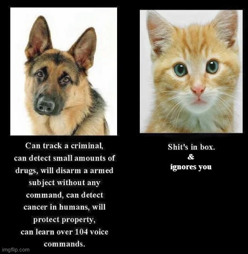 & ignores you | made w/ Imgflip meme maker