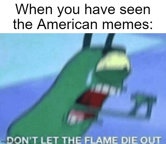 I made an American meme | When you have seen the American memes: | image tagged in don t let the flame die out,memes,funny | made w/ Imgflip meme maker