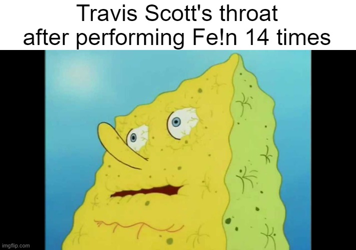 Must be drier than the Sahara Desert | Travis Scott's throat after performing Fe!n 14 times | image tagged in memes,jacques bermon webster ii | made w/ Imgflip meme maker