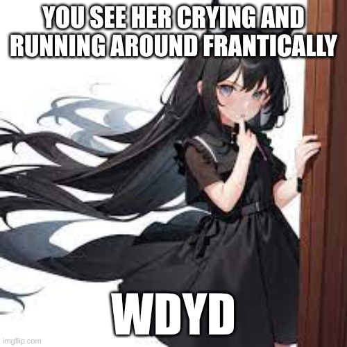 Romance is okay, No ERP's, I will respond when I can | YOU SEE HER CRYING AND RUNNING AROUND FRANTICALLY; WDYD | image tagged in siyra | made w/ Imgflip meme maker