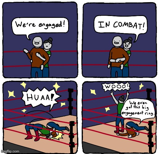 Engaged in combat | image tagged in combat,engaged,engagement ring,ring,comics,comics/cartoons | made w/ Imgflip meme maker