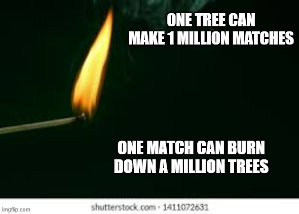 meme by Brad 1 match can burn 1 million trees | image tagged in fun,funny,fire,funny meme,humor | made w/ Imgflip meme maker