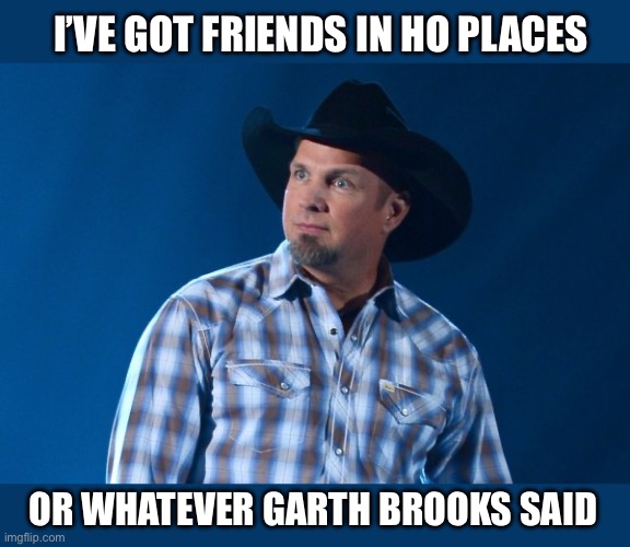 Lots of them | I’VE GOT FRIENDS IN HO PLACES; OR WHATEVER GARTH BROOKS SAID | image tagged in garth brooks,ho,cheaters,friends,fake | made w/ Imgflip meme maker