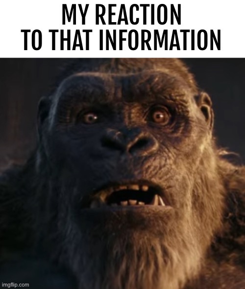 My reaction to that information (Kong) | image tagged in my reaction to that information kong | made w/ Imgflip meme maker
