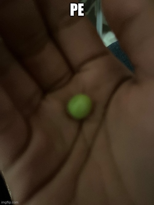 PE | made w/ Imgflip meme maker