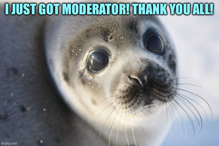 Seal | I JUST GOT MODERATOR! THANK YOU ALL! | image tagged in seal | made w/ Imgflip meme maker