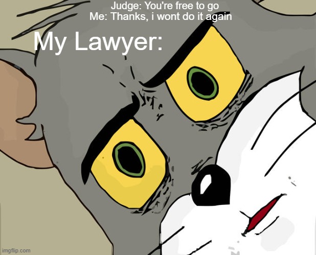 My guy.... | Judge: You're free to go; Me: Thanks, i wont do it again; My Lawyer: | image tagged in memes,unsettled tom,funny memes | made w/ Imgflip meme maker