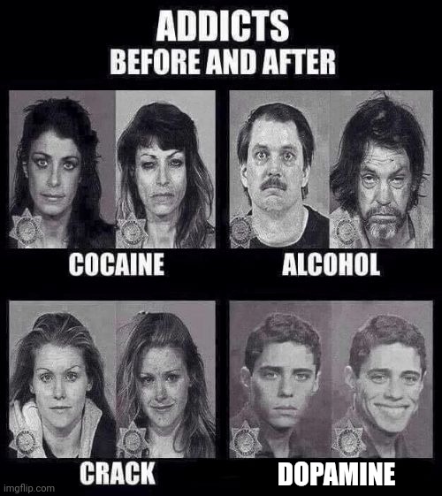Dopamine | DOPAMINE | image tagged in addicts before and after,dopamine,memes,meme,science,addiction | made w/ Imgflip meme maker