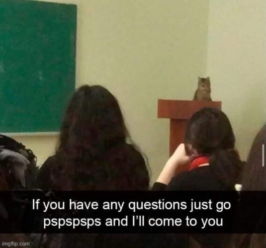 image tagged in memes | made w/ Imgflip meme maker