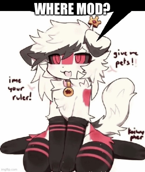 Just asking | WHERE MOD? | image tagged in furry femboy speech bubble | made w/ Imgflip meme maker