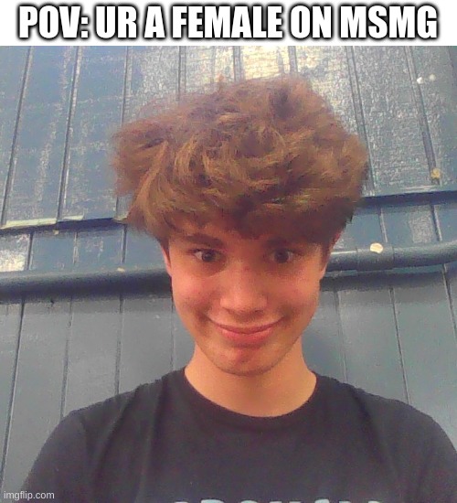 ryhme | POV: UR A FEMALE ON MSMG | image tagged in pov riplos | made w/ Imgflip meme maker