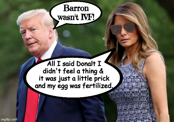Little prick... | Barron wasn't IVF! All I said Donalt I didn't feel a thing &  it was just a little prick and my egg was fertilized. | image tagged in ivf,trump's teeny weeny,melania trump,barron trump,maga maternity,ivf pg | made w/ Imgflip meme maker
