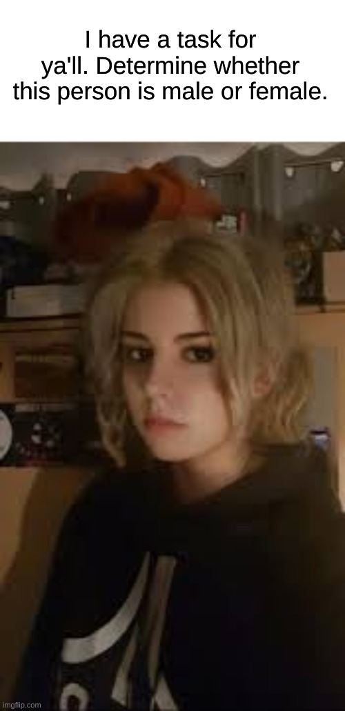 upon reaching 10 answers I will reveal the true answer | I have a task for ya'll. Determine whether this person is male or female. | made w/ Imgflip meme maker