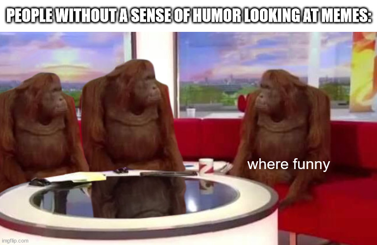 where funny | PEOPLE WITHOUT A SENSE OF HUMOR LOOKING AT MEMES:; where funny | image tagged in where monkey,where funny,sense of humor,memes,humor,where | made w/ Imgflip meme maker