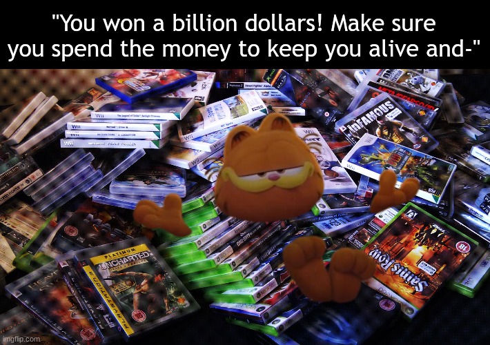 Screw food and bills | "You won a billion dollars! Make sure you spend the money to keep you alive and-" | image tagged in memes,funny,video games,garfield,pop culture | made w/ Imgflip meme maker