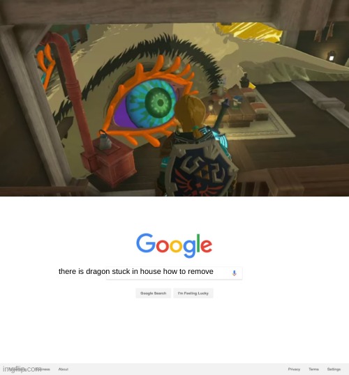 Google Search Meme | there is dragon stuck in house how to remove | image tagged in google search meme,dragon,how,glitch,legend of zelda,zelda | made w/ Imgflip meme maker