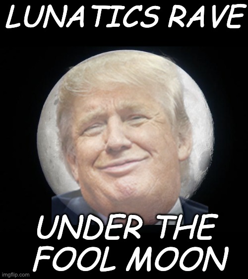 Full Moon | LUNATICS RAVE UNDER THE
 FOOL MOON | image tagged in full moon | made w/ Imgflip meme maker