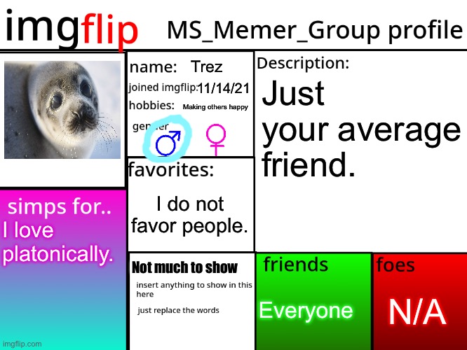 MSMG Profile | Trez; Just your average friend. 11/14/21; Making others happy; I do not favor people. I love platonically. Not much to show; N/A; Everyone | image tagged in msmg profile | made w/ Imgflip meme maker