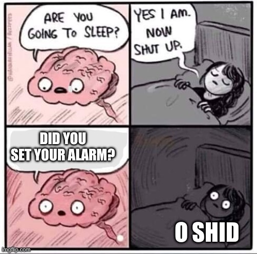 E | DID YOU SET YOUR ALARM? O SHID | image tagged in sleeping brain | made w/ Imgflip meme maker