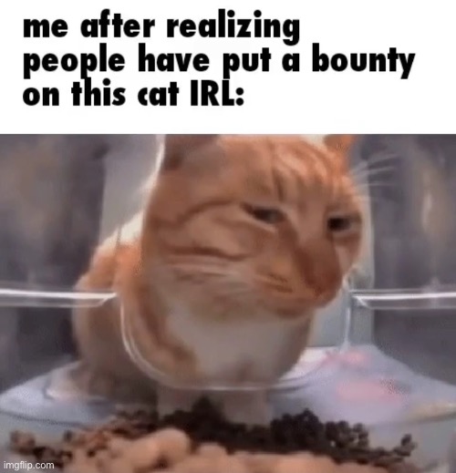 Some idiots put a bounty on Mr Fresh | made w/ Imgflip meme maker