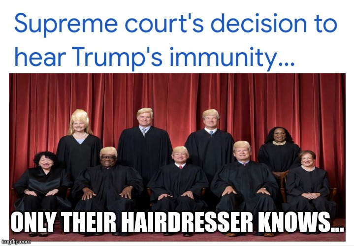 Scotus | ONLY THEIR HAIRDRESSER KNOWS... | image tagged in trump,immunity | made w/ Imgflip meme maker