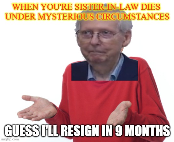 Freezin' Mitch | WHEN YOU'RE SISTER-IN-LAW DIES 
UNDER MYSTERIOUS CIRCUMSTANCES; GUESS I'LL RESIGN IN 9 MONTHS | image tagged in guess i'll die | made w/ Imgflip meme maker
