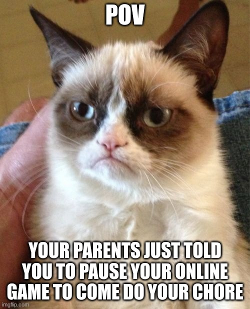 just can't | POV; YOUR PARENTS JUST TOLD YOU TO PAUSE YOUR ONLINE GAME TO COME DO YOUR CHORE | image tagged in memes,grumpy cat | made w/ Imgflip meme maker