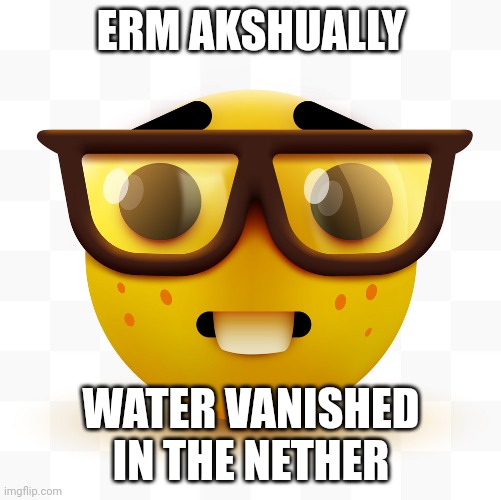 Nerd emoji | ERM AKSHUALLY WATER VANISHED IN THE NETHER | image tagged in nerd emoji | made w/ Imgflip meme maker