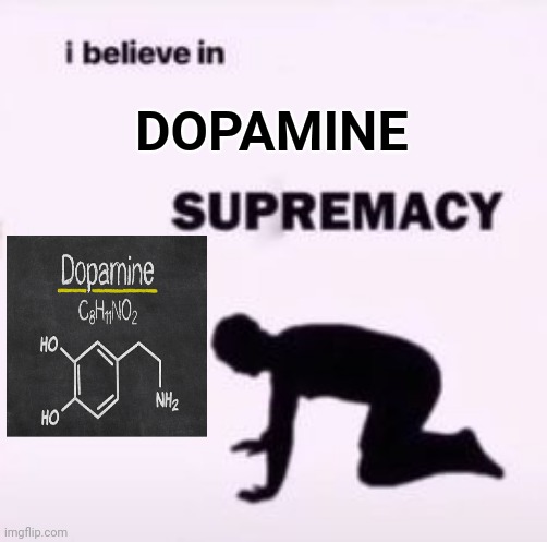 Dopamine | DOPAMINE | image tagged in i believe in supremacy,dopamine,science,memes,meme,supremacy | made w/ Imgflip meme maker