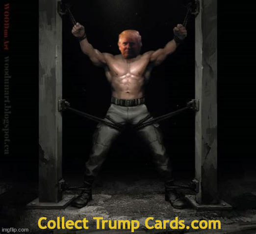 Pre-release Trump NFT Joe's Dungeon | Collect Trump Cards.com | image tagged in trump nfts,trump collector cards,trump scam,maga rubes,joe biden's dungeon 2025,king biden | made w/ Imgflip meme maker
