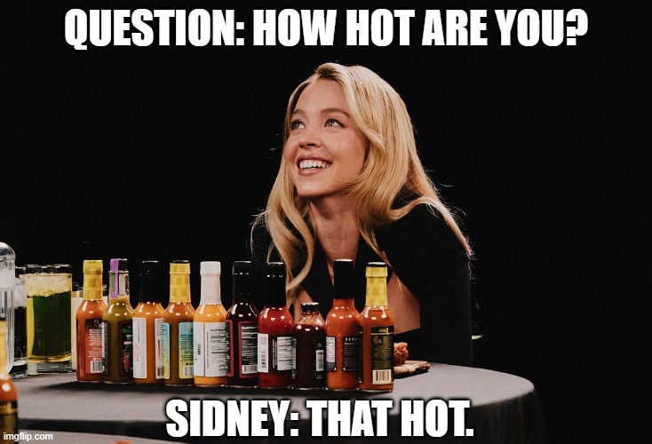How Hot? | QUESTION: HOW HOT ARE YOU? SIDNEY: THAT HOT. | image tagged in sydney sweeney | made w/ Imgflip meme maker