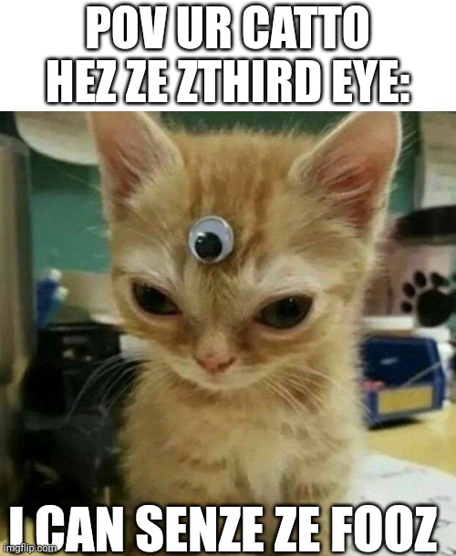 Third eye cat | POV UR CATTO HEZ ZE ZTHIRD EYE:; I CAN SENZE ZE FOOZ | image tagged in cat | made w/ Imgflip meme maker