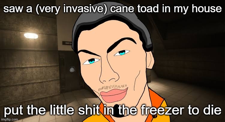 the D | saw a (very invasive) cane toad in my house; put the little shit in the freezer to die | image tagged in the d | made w/ Imgflip meme maker