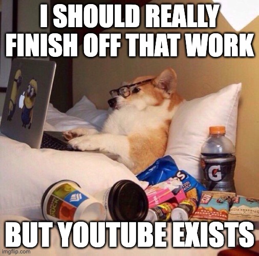 i'm so easily distracted | I SHOULD REALLY FINISH OFF THAT WORK; BUT YOUTUBE EXISTS | image tagged in lazy dog in bed,memes | made w/ Imgflip meme maker