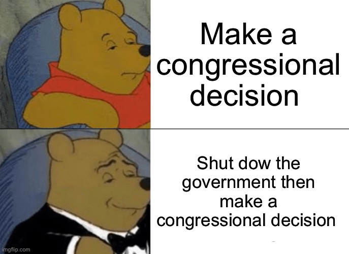 Congress rn | Make a congressional decision; Shut dow the government then make a congressional decision | image tagged in memes,tuxedo winnie the pooh | made w/ Imgflip meme maker